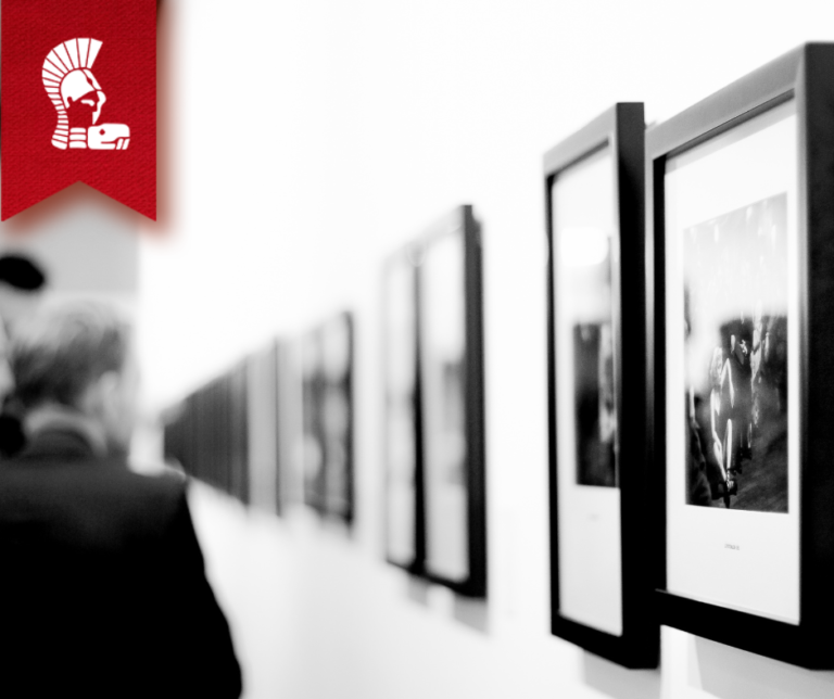 Los Retos que Enfrentan los Museógrafos al Crear Exhibiciones Impactantes