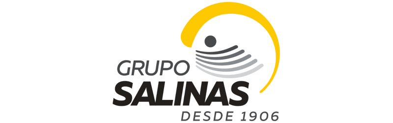 grupo-salinas